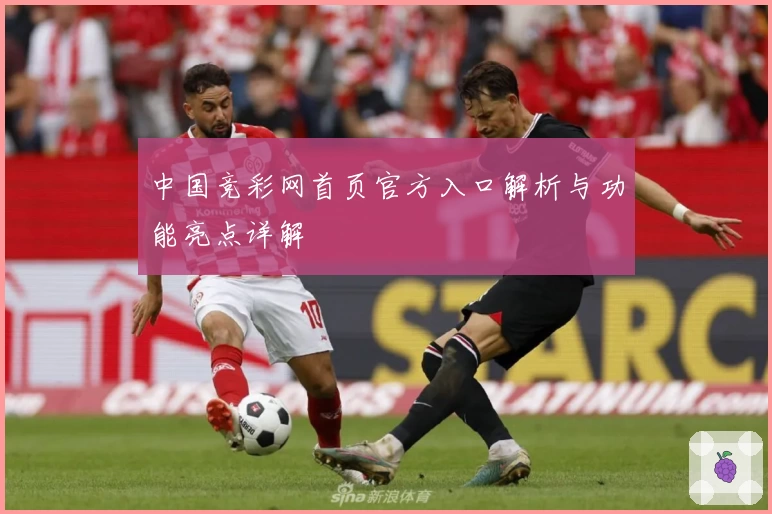 中国竞彩网首页官方入口解析与功能亮点详解