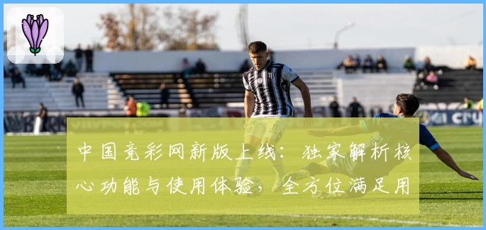 中国竞彩网新版上线：独家解析核心功能与使用体验，全方位满足用户需求