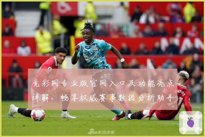 竞彩网专业版官网入口及功能亮点详解,畅享权威赛事数据分析助手