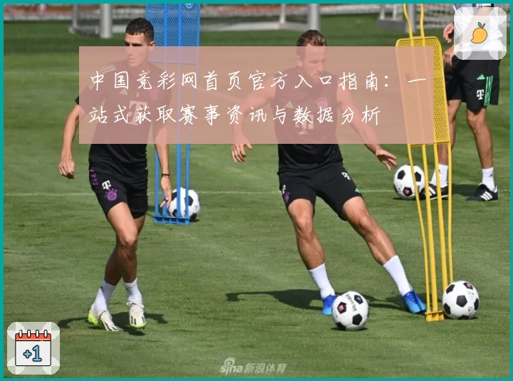 中国竞彩网首页官方入口指南:一站式获取赛事资讯与数据分析