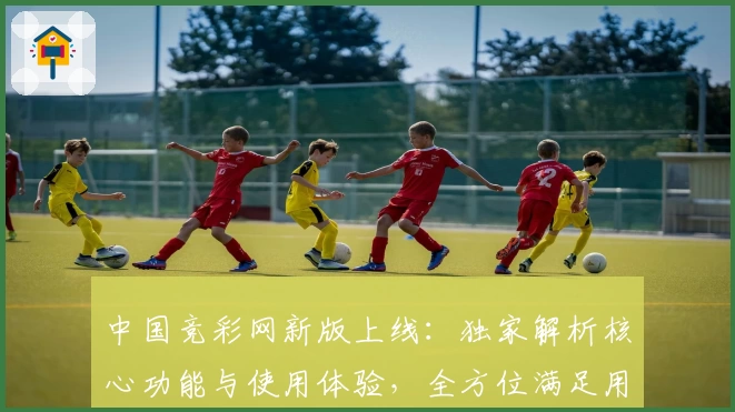 中国竞彩网新版上线：独家解析核心功能与使用体验，全方位满足用户需求